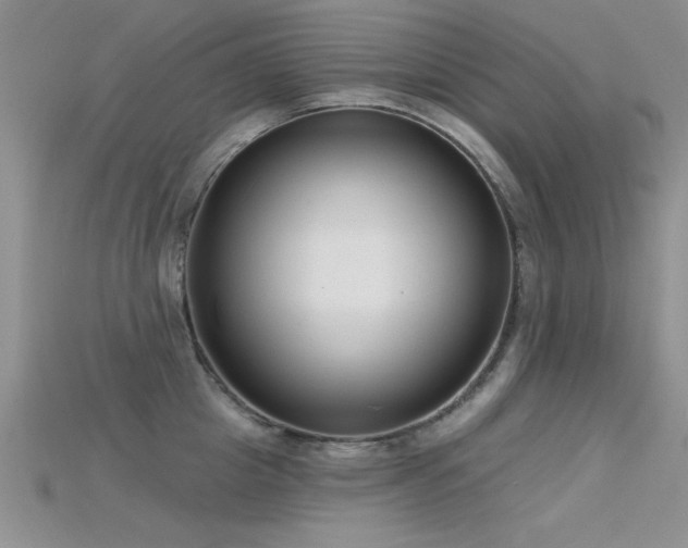 X0000115670857200911121151