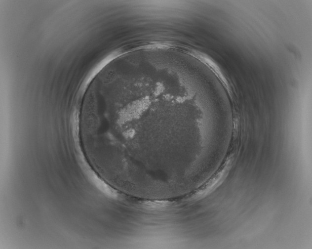 X0000115670859200911121151