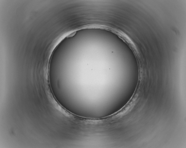 X0000115670860200911121151