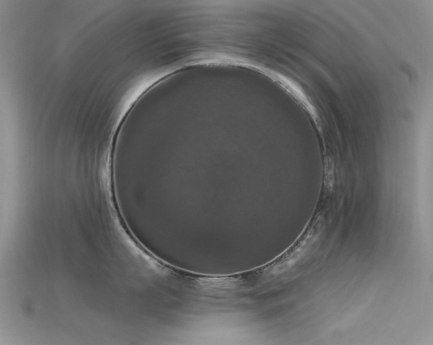 X0000115670863200911121151