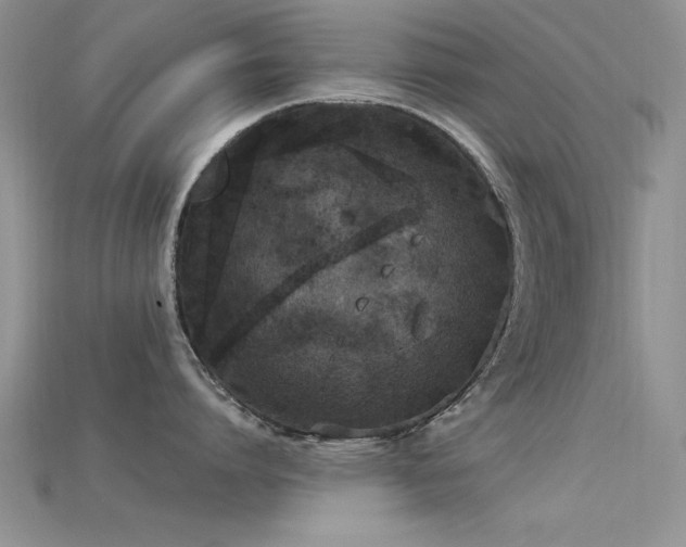 X0000115670864200911121151