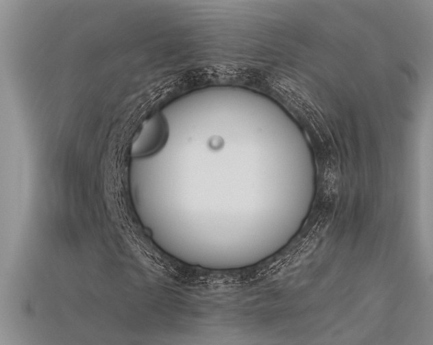 X0000115670865200911121151