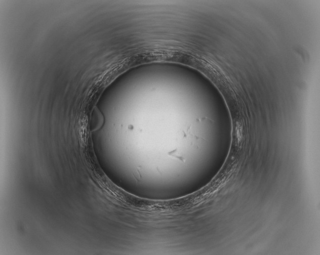 X0000115670867200911121151