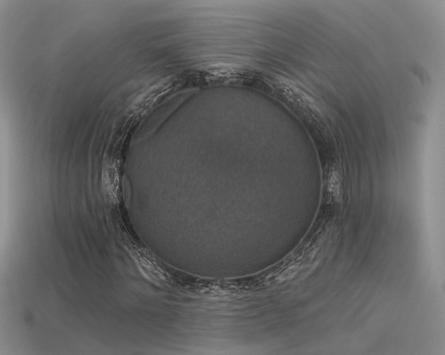 X0000115670868200911121151