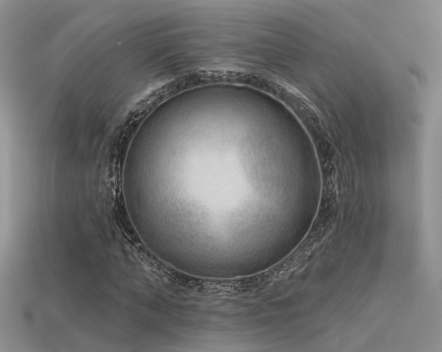 X0000115670870200911121151