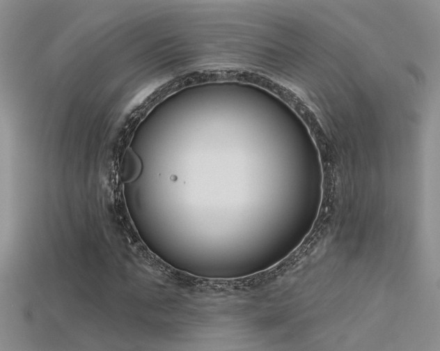 X0000115670871200911121151