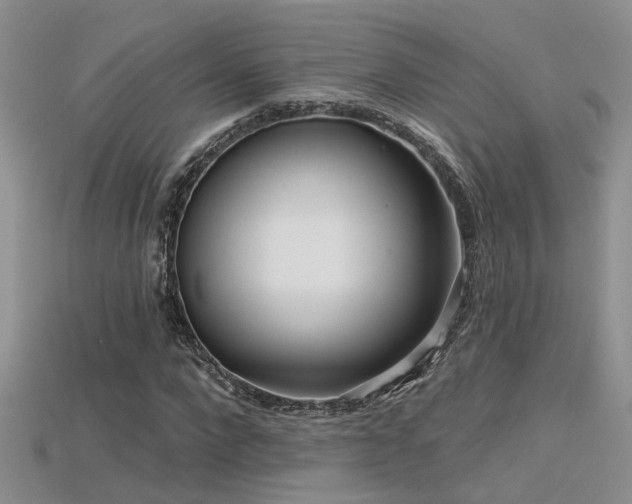 X0000115670872200911121151