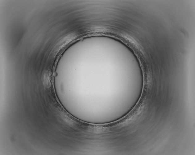 X0000115670873200911121151
