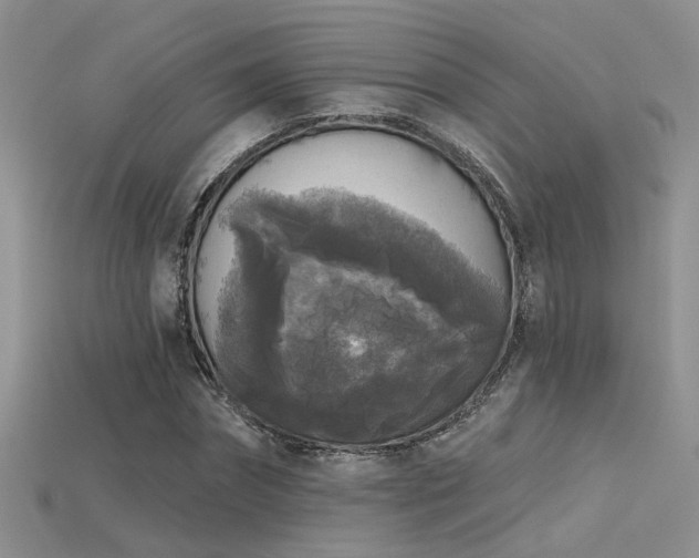 X0000115670874200911121151