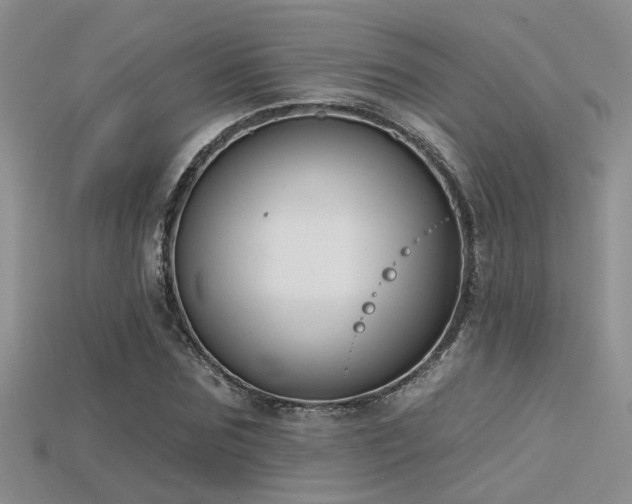 X0000115670875200911121151