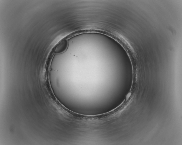 X0000115670876200911121151