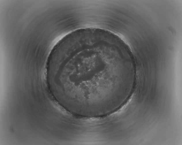 X0000115670879200911121151