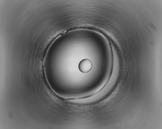 X0000115670881200911121151