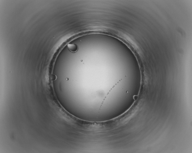 X0000115670883200911121151