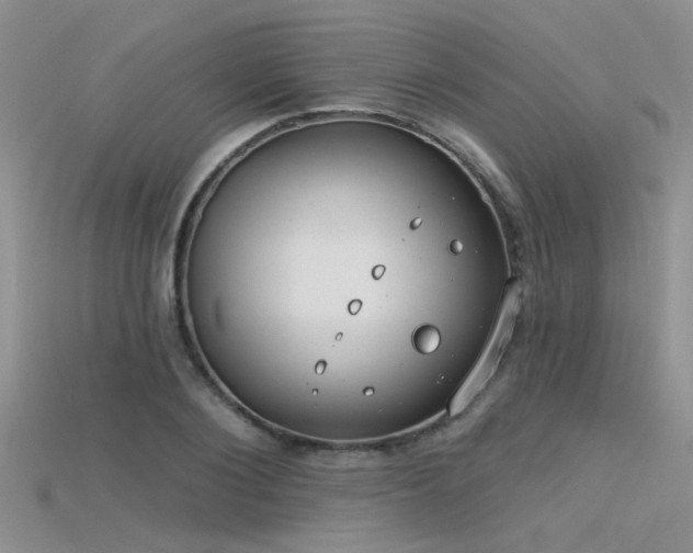 X0000115670884200911121151