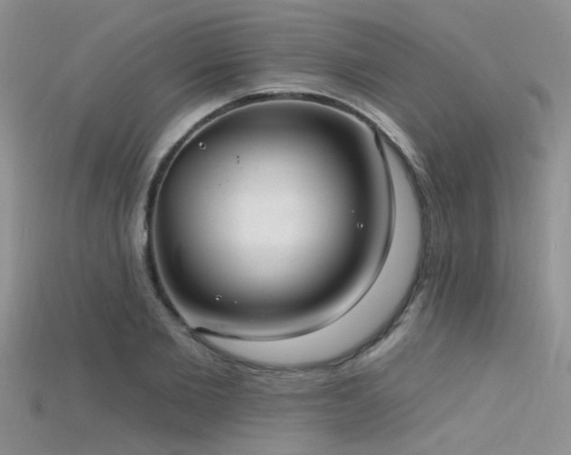 X0000115670885200911121151