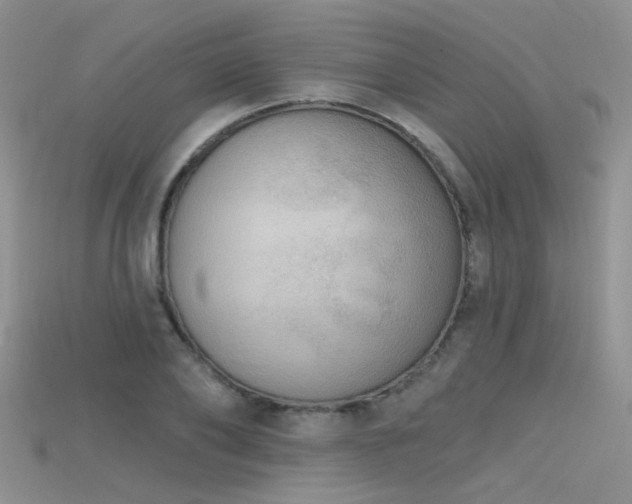 X0000115670886200911121150