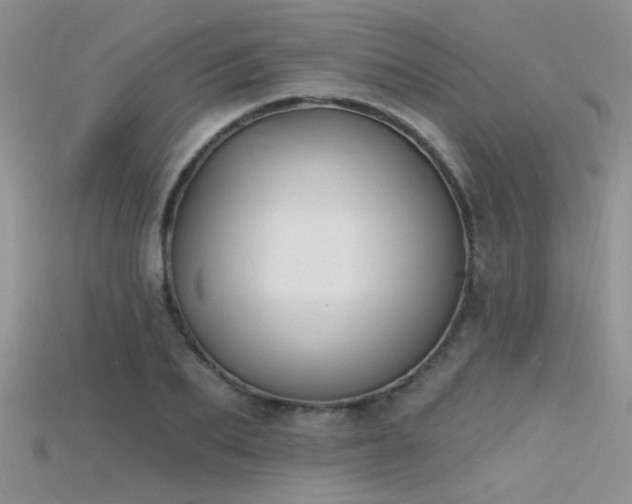X0000115670887200911121150