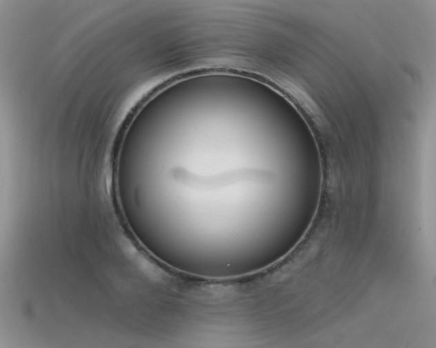 X0000115670888200911121150