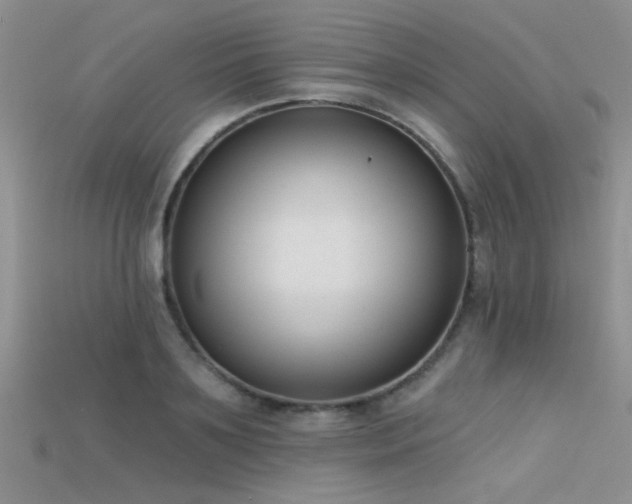 X0000115670891200911121150