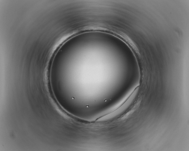 X0000115670893200911121150