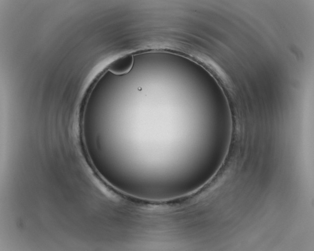 X0000115670894200911121150