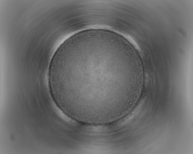 X0000115670895200911121150