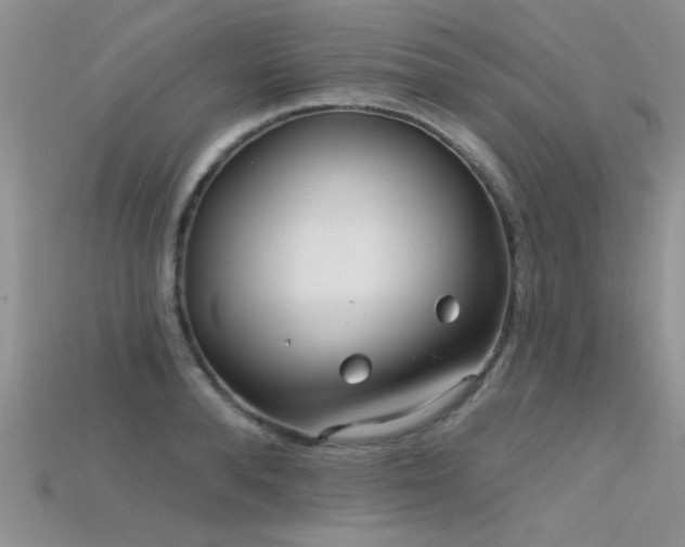 X0000115670896200911121150