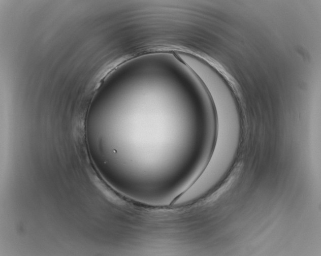 X0000115670897200911121150