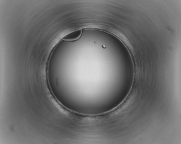X0000115670898200911121150