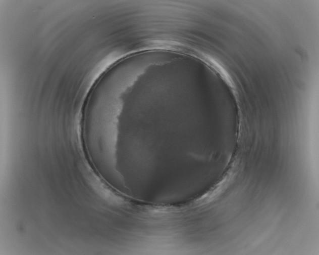 X0000115670899200911121150