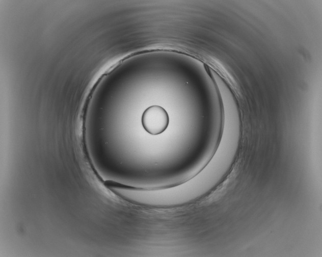 X0000115670900200911121150