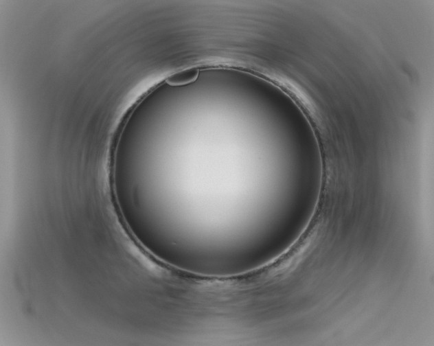 X0000115670902200911121150