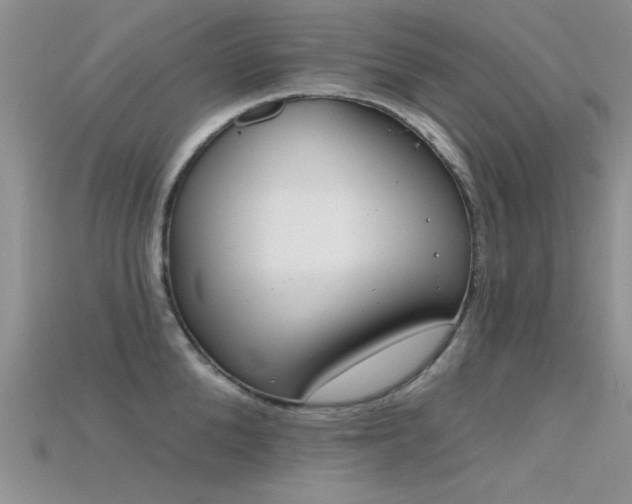 X0000115670904200911121150