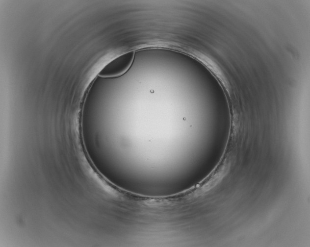 X0000115670906200911121150