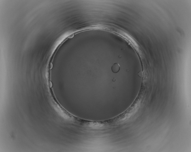 X0000115670907200911121150