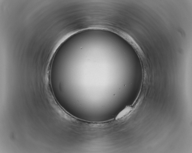 X0000115670908200911121150