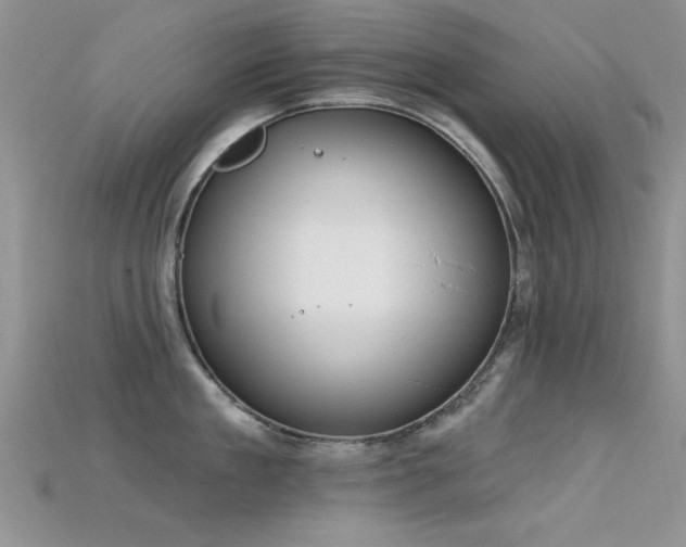 X0000115670909200911121150