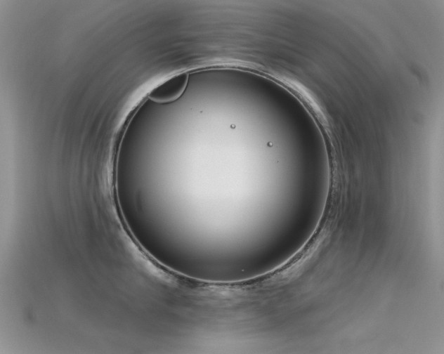 X0000115670910200911121150