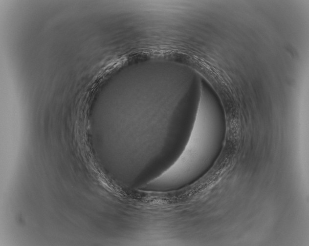 X0000115670913200911121149