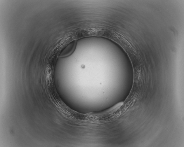 X0000115670914200911121149