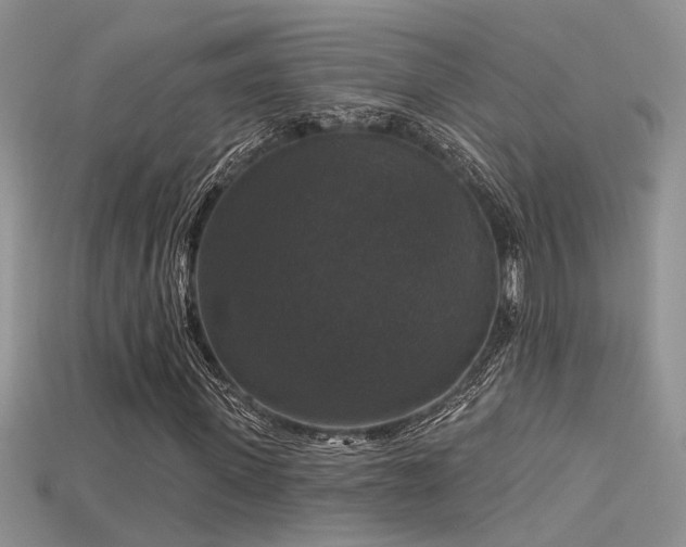 X0000115670915200911121149