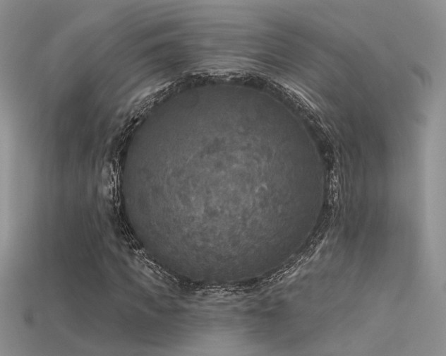 X0000115670917200911121149