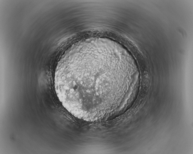 X0000115670918200911121149