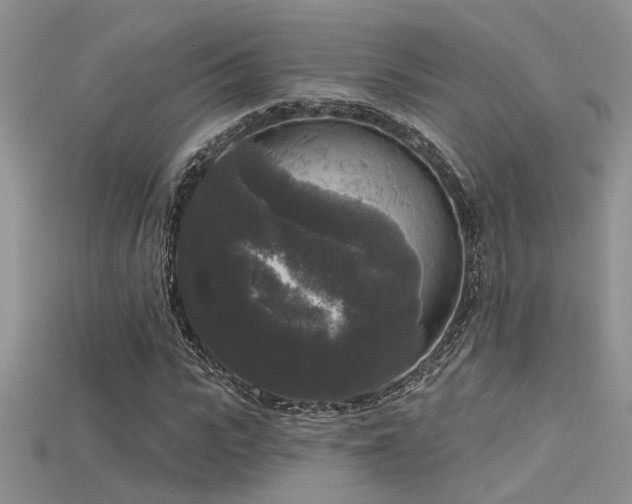X0000115670919200911121149