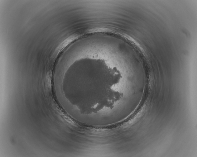 X0000115670921200911121149