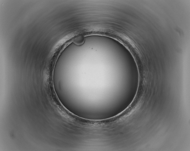 X0000115670922200911121149