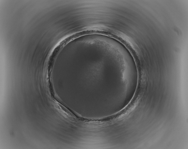X0000115670923200911121150