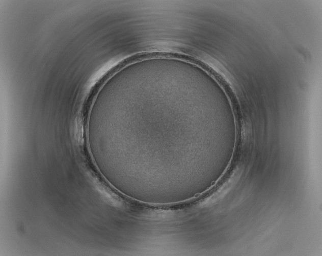 X0000115670925200911121150