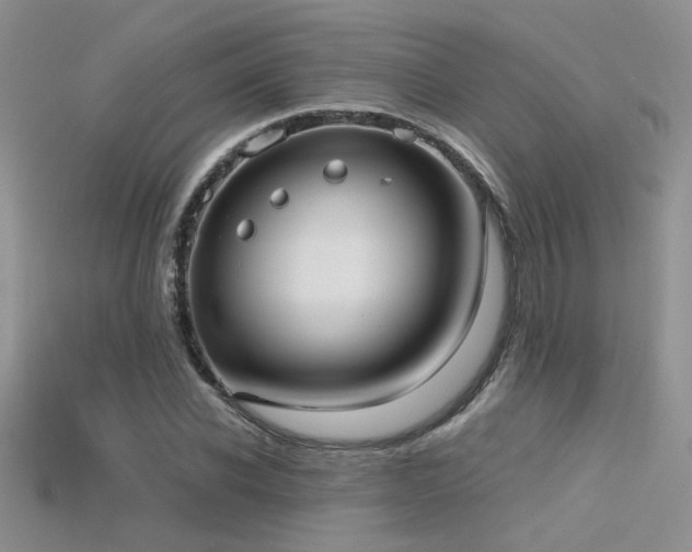 X0000115670926200911121150